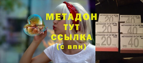 прущие грибы Белокуриха