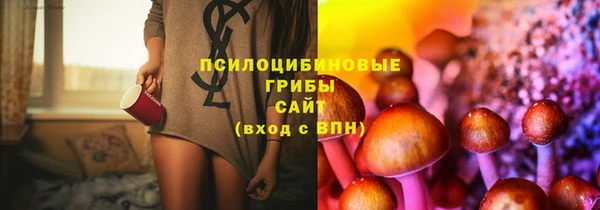 прущие грибы Белокуриха