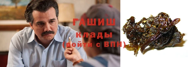 прущие грибы Белокуриха