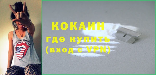 прущие грибы Белокуриха