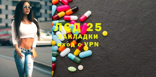 шишки Беломорск