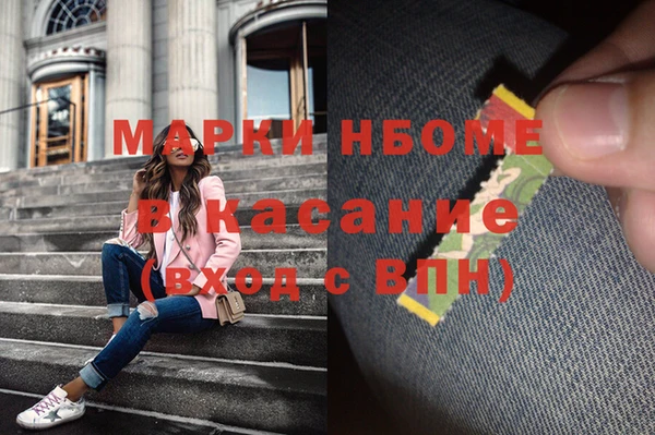 прущие грибы Белокуриха