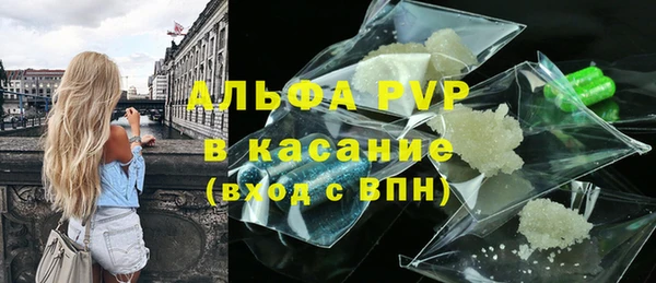 шишки Беломорск