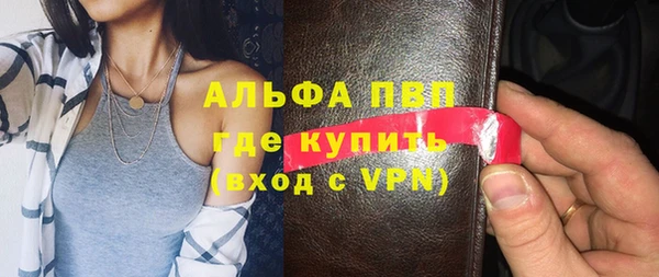 шишки Беломорск