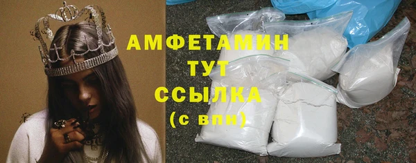 шишки Беломорск
