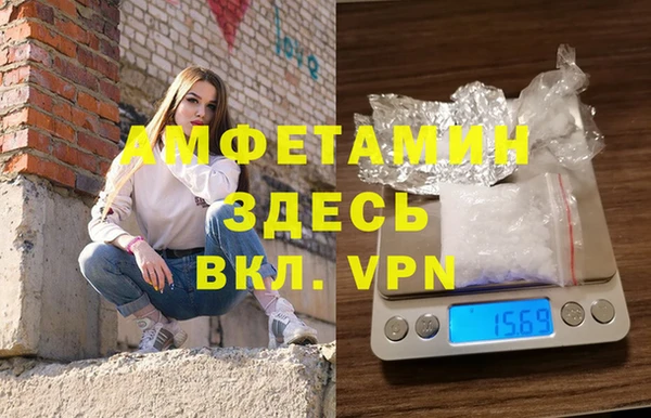 прущие грибы Белокуриха