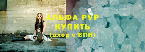 шишки Беломорск
