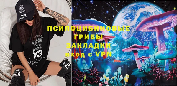 шишки Беломорск